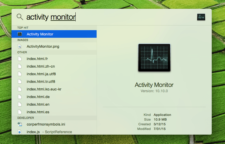 spotlight option on mac to run Activity Monitor