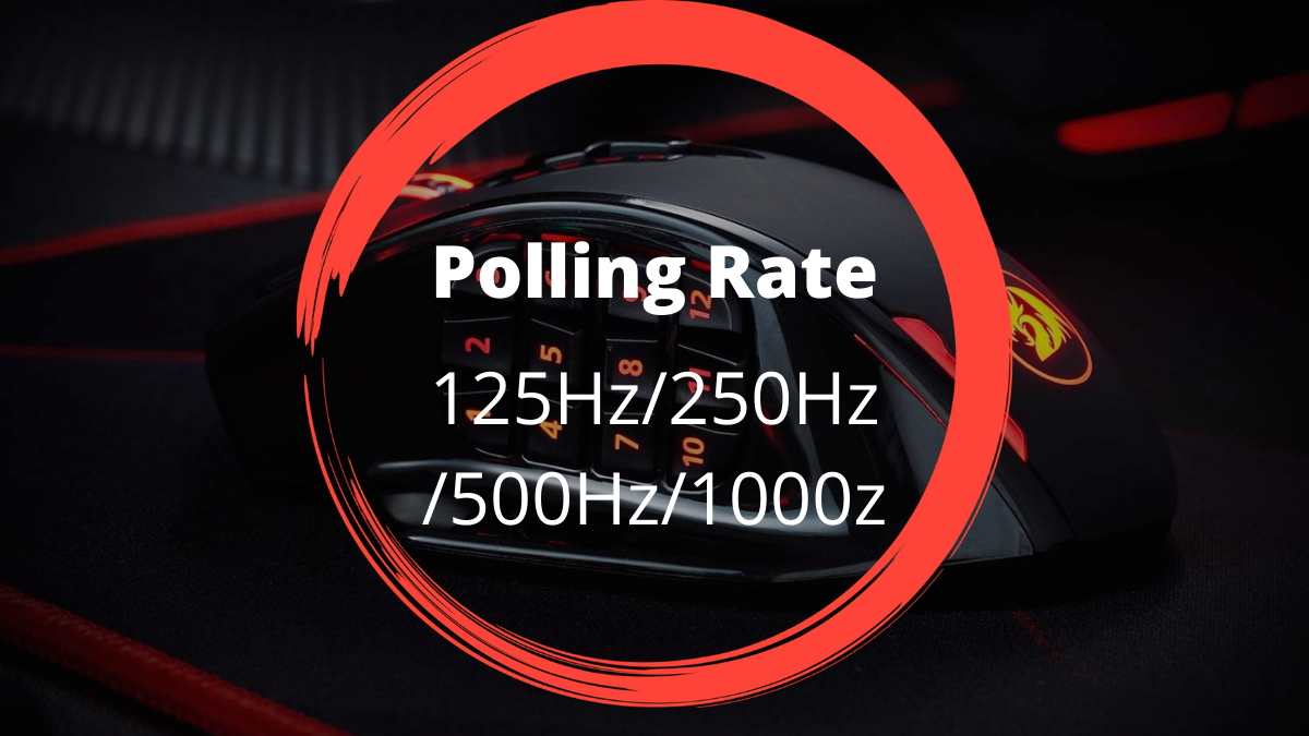 You are currently viewing What is Polling Rate 2022?