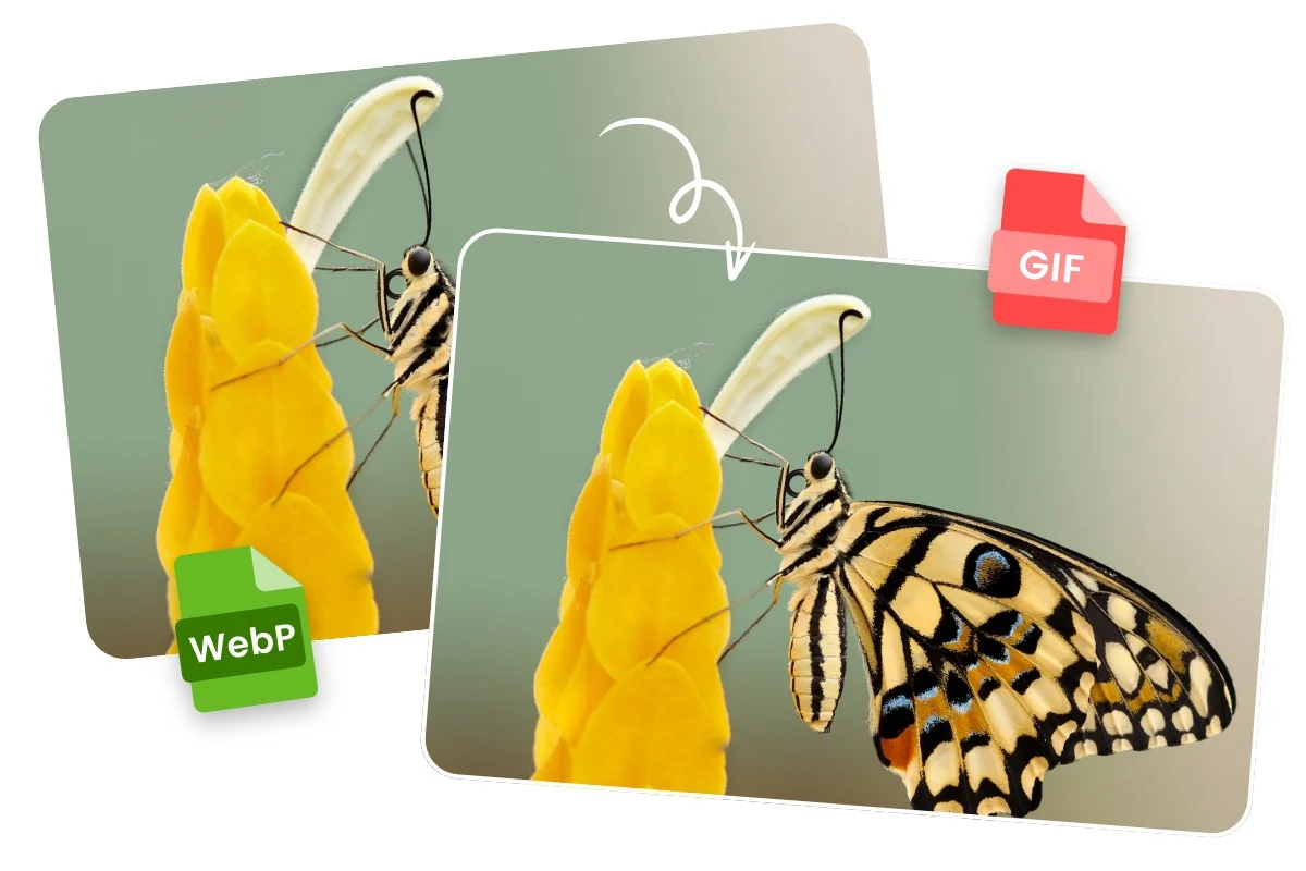 Convert WebP to Animated GIF for Free Online